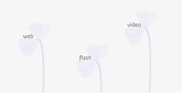 web design - flash - video